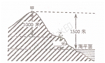 扫描全能王 2020-12-07 09.19_00
